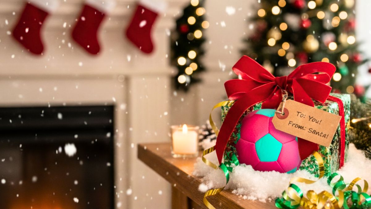 Gift box with The Pink House Ball on the table with a Christmas decor background.