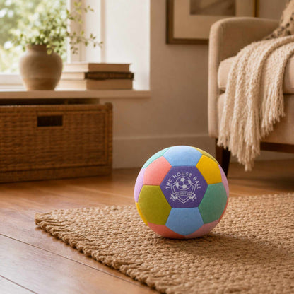 A colorful House Ball - EE with a purple center patch reading 'THE HOUSE BALL' sits on a woven jute rug in a cozy living room setting.